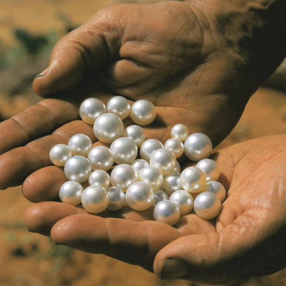 The Timeless Elegance of Pearls: From Royal Treasures to Modern Fashion